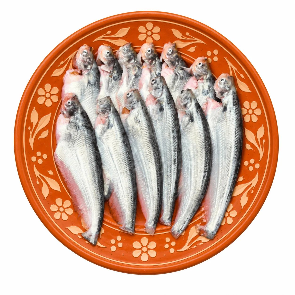 পুকুরের পাবদা মাছ